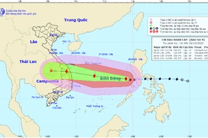 Hình ảnh bão số 9 - Molave