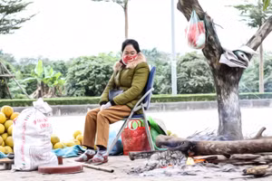 Miền Bắc rét đậm, chuẩn bị đón đợt không khí lạnh tăng cường 