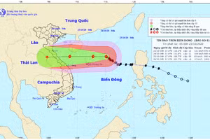 Hình ảnh mới nhất của bão số 8 - Saudel