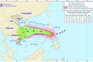 Siêu bão Goni.