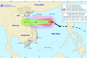 Bão số 8 - Saudel