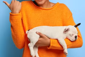 Cùng khám phá những nơi được cho là tốt cho chúng.