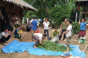 Các lớp dạy nghề theo nhu cầu được xem là hướng "xóa nghèo" cho nhiều nông dân ở biên giới Nậm Pồ.