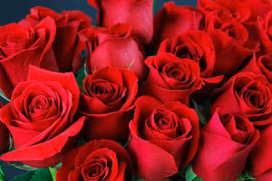 Hoa hồng được sử dụng trong một số sản phẩm làm đẹp. Ảnh minh họa/INT.