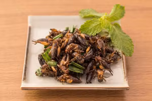 Tin được không, đây là những gì con người sẽ ăn trong tương lai