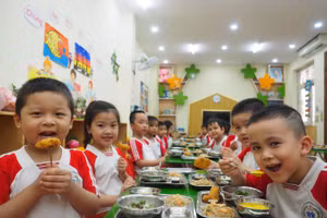 Bữa ăn của học sinh Trường Mẫu giáo Mầm Non Hà Nội. Ảnh: Thu Thủy