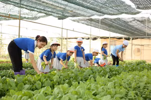 Cô và trò Trường Mầm non Thọ Xuân thu hoạch rau xanh. Ảnh: TG