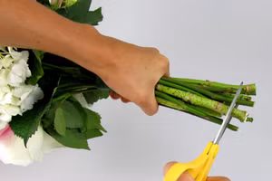 Thả thứ này vào nước giúp hoa cắm cả tuần vẫn tươi rói