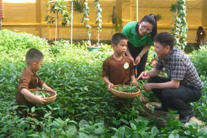 Vụ trưởng Nguyễn Bá Minh thăm vườn rau của HS Trường MN Thái Tân (huyện Nam Sách, Hải Dương). Ảnh: TG