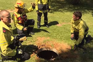Nghe tiếng sủa dưới cống, 16 nhân viên cứu hỏa phát hiện điều lạ lùng