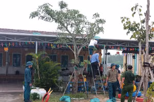 Lực lượng chức năng hỗ trợ thực hiện công tác phòng chống bão tại các cơ sở giáo dục ở Thừa Thiên Huế . Ảnh do địa phương cung cấp.