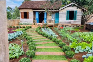 Ngôi nhà vườn nhỏ xinh như trong cổ tích của cô nàng 9X 