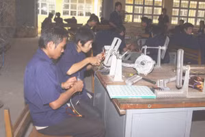 Hướng nghiệp sớm giúp HS định hướng nghề nghiệp và chọn lựa con đường học tập phù hợp.