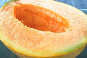 Dưa lưới Yubari.