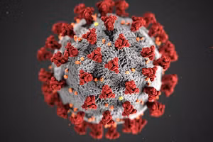 Hình minh họa virus corona.