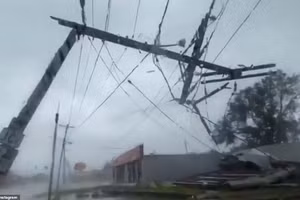 Bão Ida quật đổ cột điện.