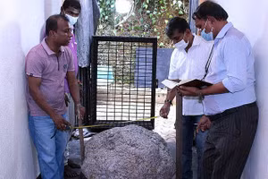 Khối sapphire trị giá tới 100 triệu đô la đã được thợ đào giếng phát hiện trong sân sau của một người đàn ông Sri Lanka.