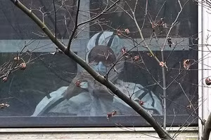 Quan chức của WHO trong một chuyến thăm thực tế tại Trung Quốc.