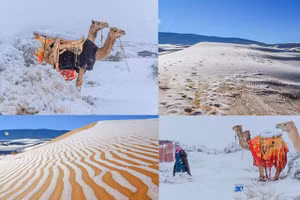 Tuyết rơi trên sa mạc Sahara.
