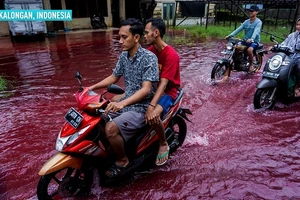 Màu sáp nhuộm vải khiến dòng nước có màu bất thường.
