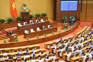 Các đại biểu quốc hội thảo luận tại Hội trường.