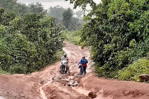 Kỉ niệm trên hành trình vận động học sinh ra lớp của cô Ái Vân cùng đồng nghiệp.