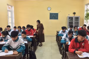 Cô Trương Thị Bích Ngọc, Tổ trưởng chuyên môn hướng dẫn HS ôn tập môn Tiếng Anh.