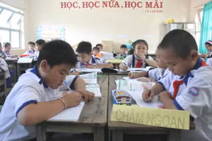 HS Tiểu học huyện Năm Căn, Cà Mau trong giờ học.