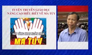 Cỏ mỹ là một loại ma túy