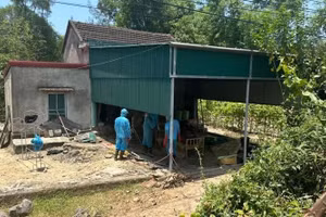 Ngôi nhà của mẹ con bà P. (Ảnh: T.T).