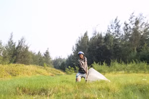 Người dân dùng vợt "săn" châu chấu.