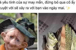 Hé lộ "xuất thân" của yêu tinh may mắn được dân mạng đua nhau chia sẻ 