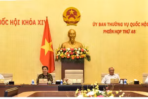 Phó Chủ tịch Thường trực Quốc hội Tòng Thị Phóng điều hành phiên họp