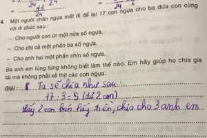 Cười xỉu đáp án chia đều 17 con ngựa cho 3 người của cậu nhóc tiểu học