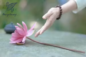 Chỉ khi bỏ được điều này bạn mới có thể sống thanh thản