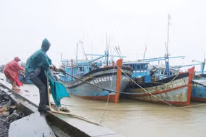 Người dân neo đậu tàu thuyền, chằng chống nhà cửa, gia cố bảo vệ công trình chuẩn bị ứng phó với bão.