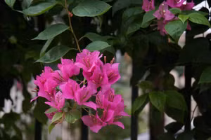 Người đàn bà đẹp đề nghị "mua" chồng tôi với giá nửa tỷ đồng