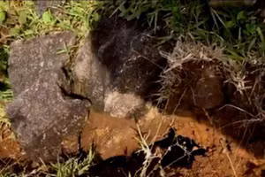 Vét nứt ở núi Tà Băng (huyện Hướng Hoá). (Ảnh: TT)