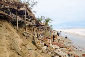 Bãi biển An Bàng (TP Hội An, tỉnh Quảng Nam) bị sạt lở nghiêm trọng.