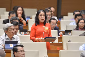 Chủ tịch Hội Chữ thập đỏ Việt Nam Nguyễn Thị Xuân Thu