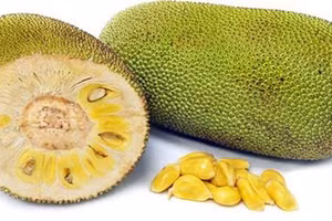 Mít là loại quả được nhiều ưa chuộng bởi hương vị thơm ngon, hấp dẫn.