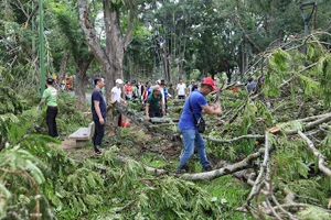 Người dân tham gia dọn dẹp cây xanh trên đường dọc sông Hương. Ảnh: Võ Thạnh.