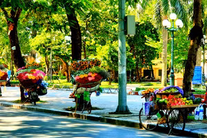 Mùa Thu là mùa của hoa, đi trên đường ta dễ dàng gặp các cô gái đem “mùa Thu” đi khắp các ngõ phố