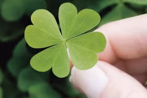 4 thói quen sống mang lại phúc lộc, may mắn cho mỗi người