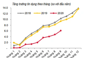 Tăng trưởng tín dụng theo từng tháng của năm 2020. Nguồn SSI.