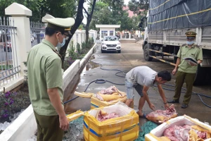 Số thịt lợn bốc mùi hôi thối được chở từ Quảng Ngãi vào Đắk Lắk tiêu thụ.