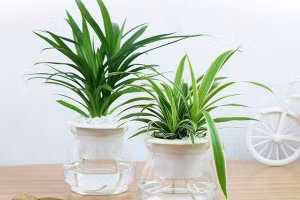 Vợ khôn nên biết thể hiện tình cảm với chồng - Ảnh minh họa: Internet.