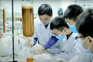 Tại phòng thí nghiệm của Viện Hóa sinh biển – Viện Hàn lâm Khoa học và Công nghệ Việt Nam, Tiến sĩ Lê Nguyễn Thành hướng dẫn nhóm Tử Minh thực hiện dự án về keo ong dú