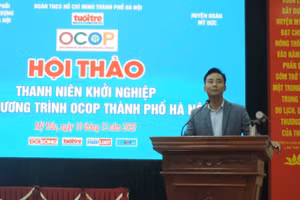 Nguyễn Đức Tiến, Ủy viên Ban chấp hành Trung ương Đoàn, Phó Bí thư Thường trực Thành đoàn, Chủ tịch Hội LHTN thành phố Hà Nội phát biểu tại hội thảo. 