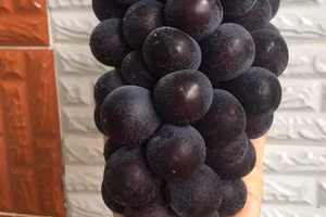 Phát hiện chồng bị thả thính, vợ cao tay đào mỏ "tiểu tam" suốt cả tháng 